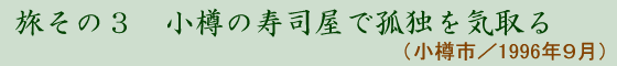 3 M̎iŌǓƂC(Ms 1996N5)