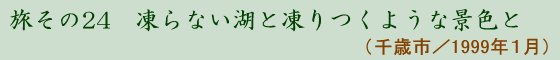 24 Ȃ΂Ɠ悤ȌiF(Ύs 1999N1)