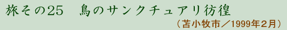 25 ̃TN`Afr(Ϗqs 1999N2)