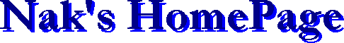 nakapi's logo
