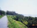 海岸1