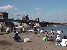 �s���͌����Q