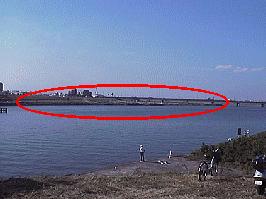 �]�ː��|�j�[�����h�̉��i