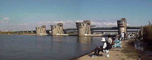 �s���͌����P