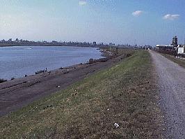 �]�ː�ԉΑ��̎s�쑤��h�ʐ^�P