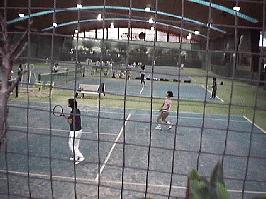 �j�b�P�R���g���e�j�X�K�[�f��