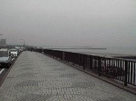 ���l���P