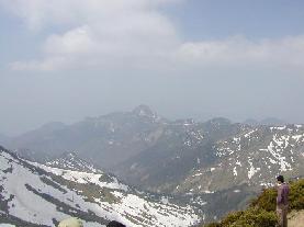 �u�ꍂ���̕��i�Q