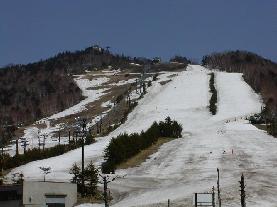 ���V���X�L�[��