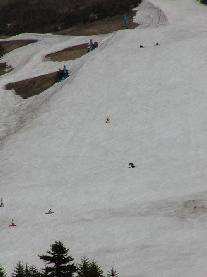 ���V���ŃX�L�[������l