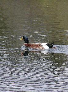 �_��r���j�����H