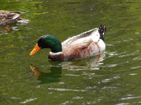 �_��r�ɏZ�ށH��