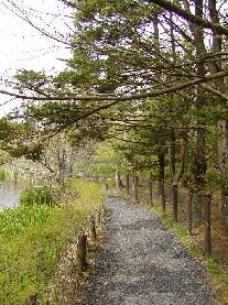 �V�������i