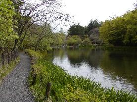 �V�������i