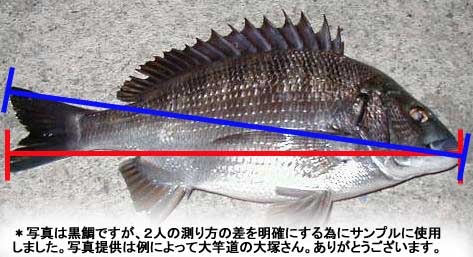 sokutei.jpg 体長測定