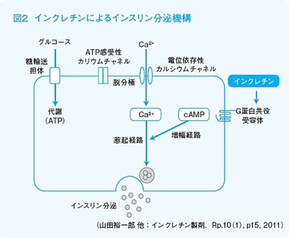 : : : : : : : : : : : : : : : : : : : : : : : : http://medical.nikkeibp.co.jp/all/special/dmensem/column/201206/images/large_524948_up06.jpg