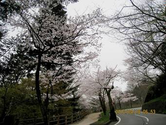 : : : : : : : : : : : : : : : : : : : : : : : : : : : : : : : : : : : : : : : : : E:\IXY910photo\2012_04_18\resize\IMG_2835mod.JPG