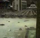 �������̂P