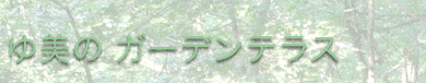my great site