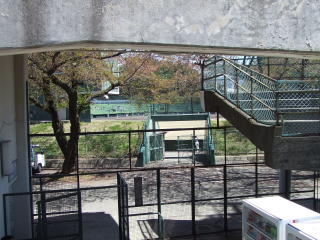 伊那市営球場写真3