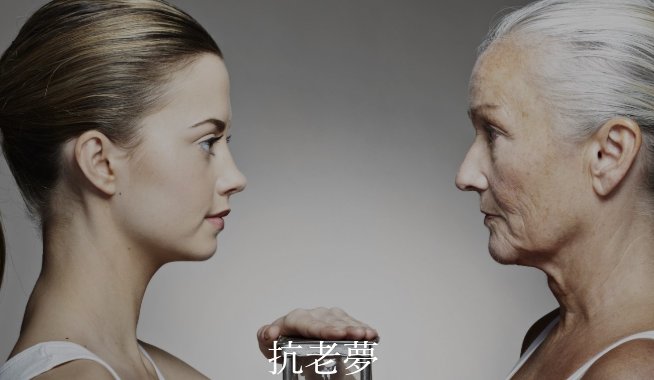 抗老夢