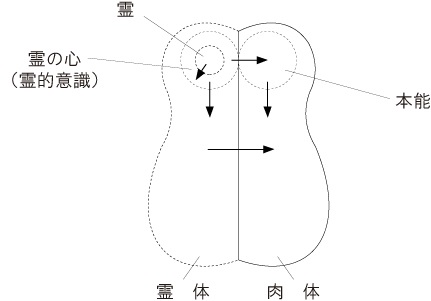 「霊優位」「霊主肉従」の関係図