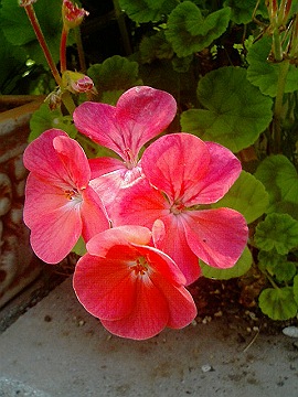 040602_09s.jpg