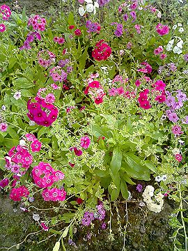 040510_000s.jpg