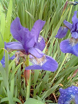 040510_008s.jpg