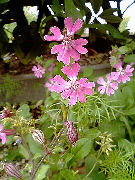 040510_011s.jpg