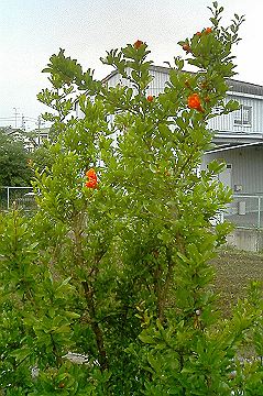 040521_000s.jpg