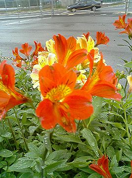040521_001s.jpg