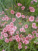 040521_002s_thumb.png