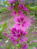 040521_004s_thumb.png
