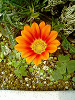 040521_006s_thumb.png