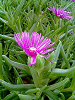 040521_010s_thumb.png