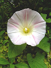 040522_002s_thumb.png