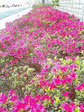 040522_004s.jpg