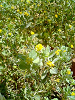 040522_005s_thumb.png