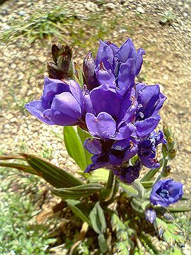040522_007s.jpg