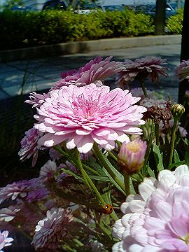 040522_009s.jpg