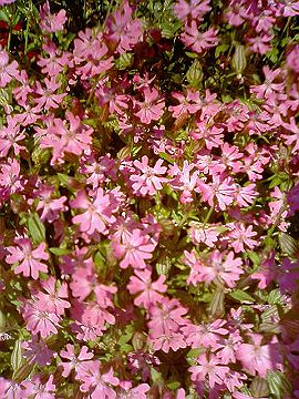 040522_012s.jpg