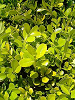 040522_015s_thumb.png