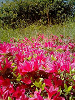 040522_016s_thumb.png