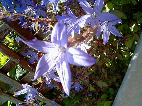 040522_020s.jpg