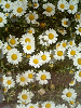 040522_023s_thumb.png