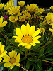 040522_025s_thumb.png