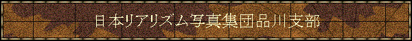 {AYʐ^Wcix