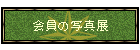 ̎ʐ^W