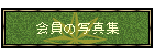 ̎ʐ^W